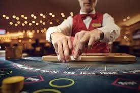 Statistik dan data historis togel di musang123